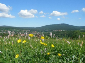 Гостиница Harzpension Haus Königskopf  Браунлаге